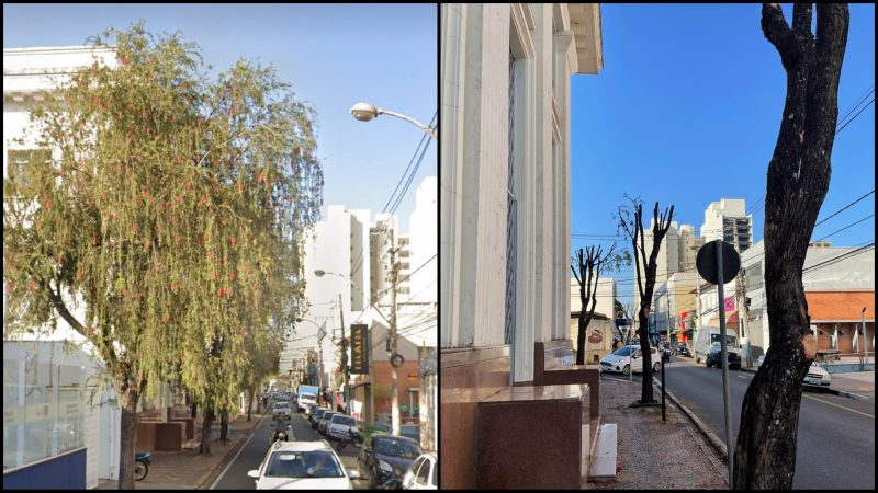 Prefeitura de Franca realiza poda de árvores em dia de calor e população se revolta com à medida