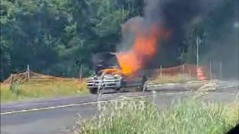 Carro pega fogo e fica destruído em avenida de Franca