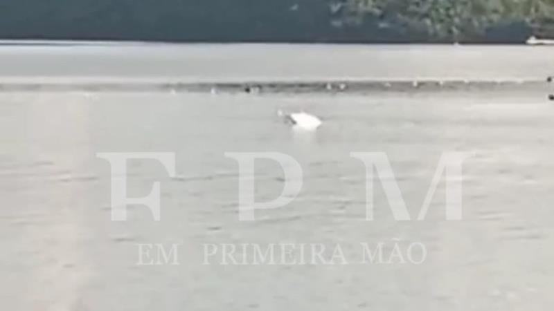 Duas lanchas colidem e afundam na represa do Rio Grande em Rifaina; uma pessoa ficou ferida