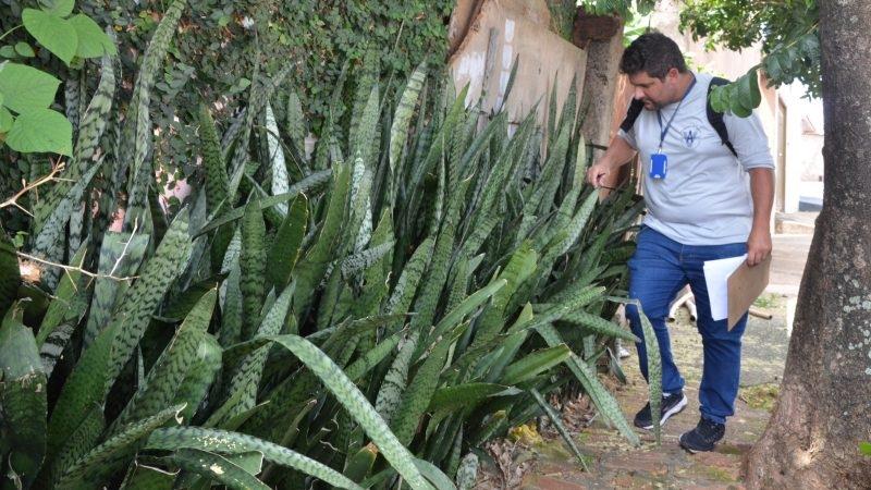 Secretaria de Saúde realiza “Dia D” e segue com as ações de combate à dengue