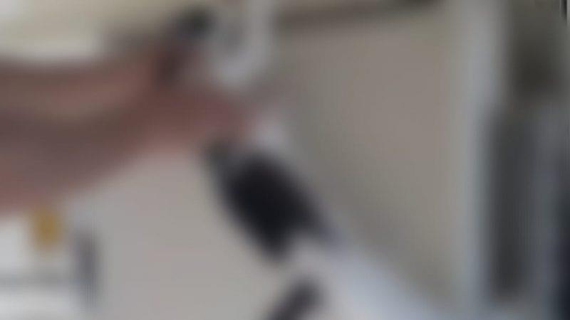 Caso de monstruosidade: covarde grava vídeo espancando gata em Franca