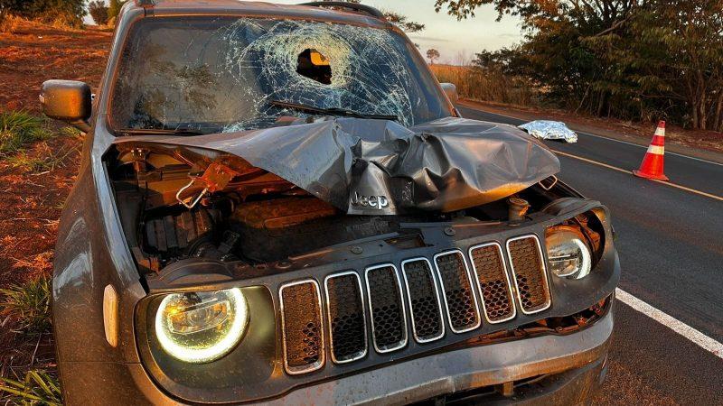 Idoso morre após ser atropelado em rodovia em Miguelópolis