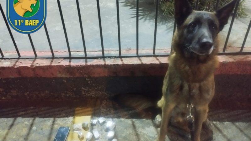 Adolescente é apreendido pelo Baep com drogas no Jardim Brasilândia