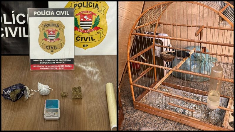 Mulher é presa por tráfico de drogas e crime ambiental em Franca