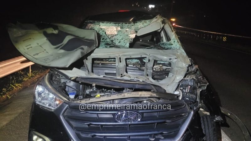 Animais soltos causam grave acidente em rodovia de Franca