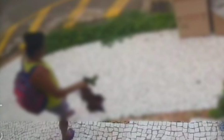 Mulher é flagrada por câmera de segurança furtando Orquídea de residência em Franca