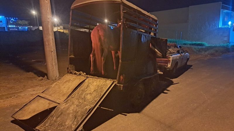 Criminosos arrombam contêiner em construção e furtam objetos em Franca