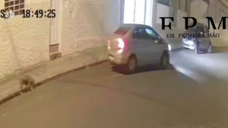 Homem é flagrado por câmera de segurança abandonando cachorra em Franca