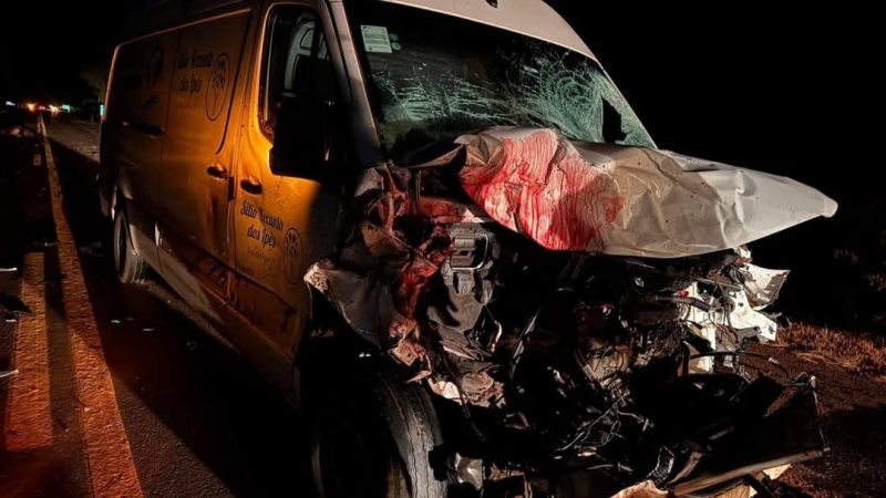 Cavalos soltos causam grave acidente na rodovia em Miguelópolis