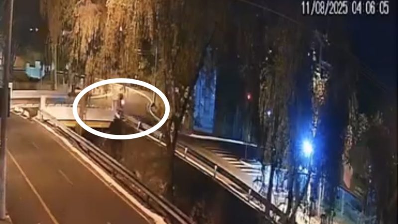 Câmera de segurança registrou momento em que motociclista colidiu contra poste em avenida de Franca