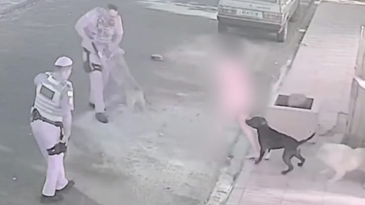 Abordagem policial termina em confusão, tiros, policial ferido e cachorro morto em Guará