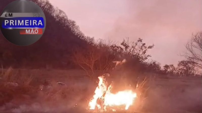 Homem é preso após atear fogo em área de mata às margens da rodovia Cândido Portinari em Rifaina