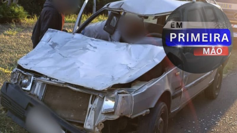Cavalo solto na pista causa grave acidente na rodovia Nestor Ferreira