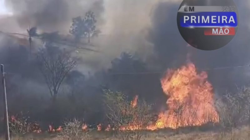 Incêndio de grandes proporções mobiliza equipes na rodovia Cândido Portinari