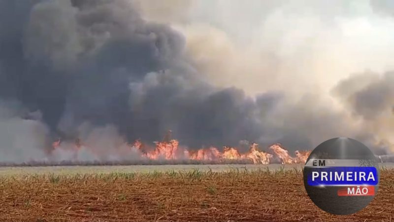 Incêndio de grandes proporções atinge área rural de Ipuã