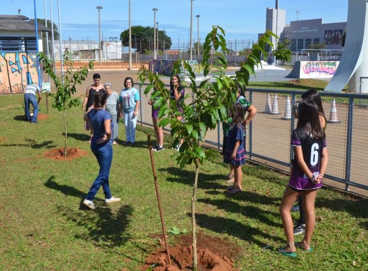 Plantios no Parque dos Trabalhadores marcam início da Semana da Árvore