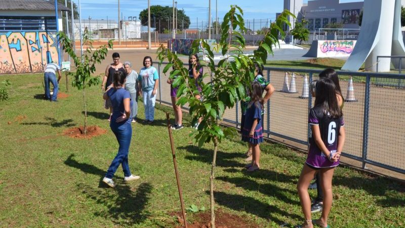 Plantios no Parque dos Trabalhadores marcam início da Semana da Árvore