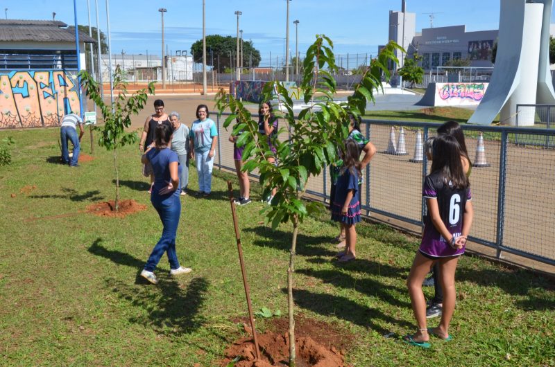 Plantios no Parque dos Trabalhadores marcam início da Semana da Árvore