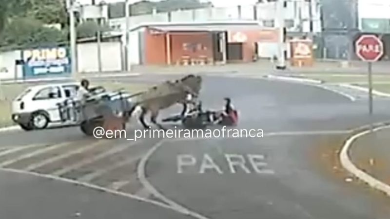 Motociclista colide contra cavalo em rotatória no bairro Miramontes, em Franca