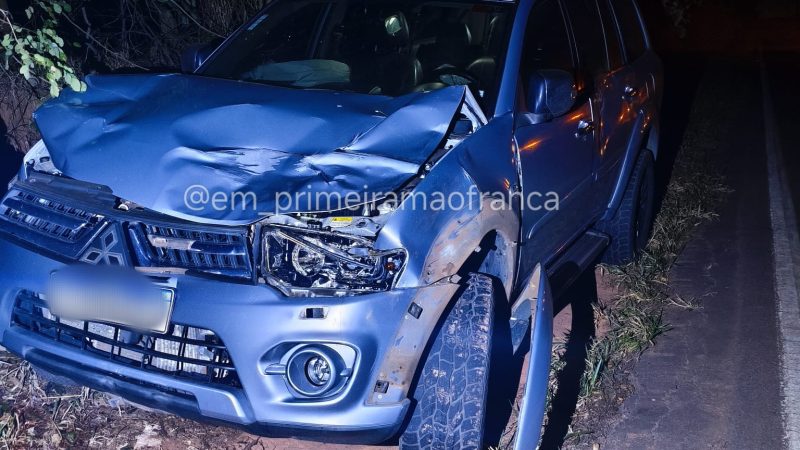 Vaca solta na pista provoca acidente em rodovia de Franca