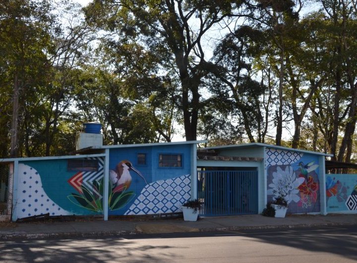 Meio Ambiente divulga entidade responsável pelo Bosque dos Angicos