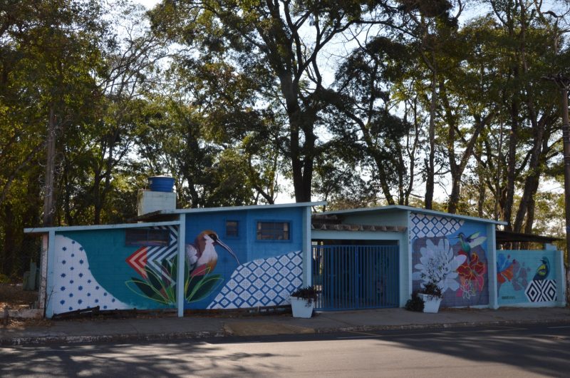 Meio Ambiente divulga entidade responsável pelo Bosque dos Angicos