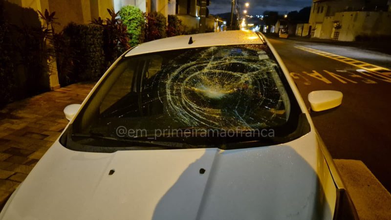 Cavalos soltos provocam acidente no Parque Castelo em Franca