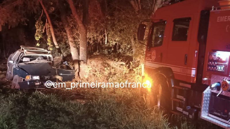 Motorista de Franca fica ferido após bater carro em árvore em rodovia da região