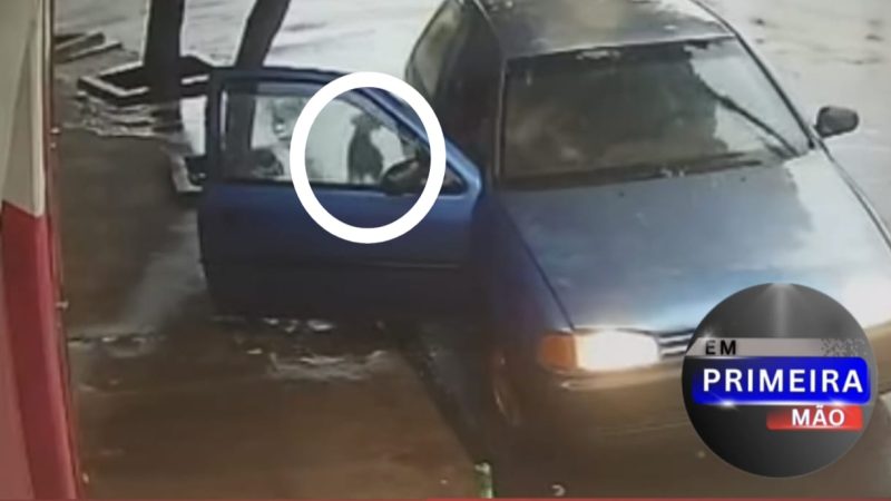 Cachorra e filhotes são abandonados na chuva em Ituverava; caso é investigado