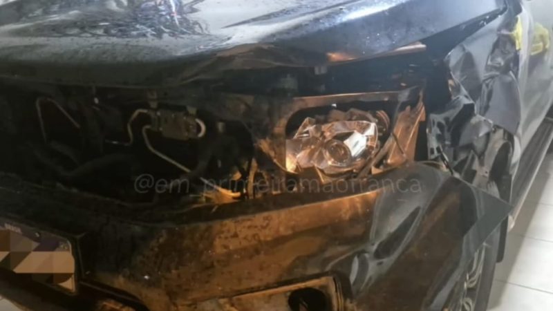 Comerciante tem prejuízo após bater caminhonete em gado solto em rodovia da região