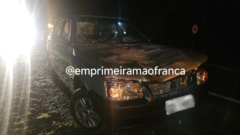 Cavalo solto na pista causa acidente em rodovia da região
