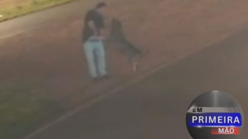 Homem é flagrado atirando contra cachorro na madrugada em Ituverava