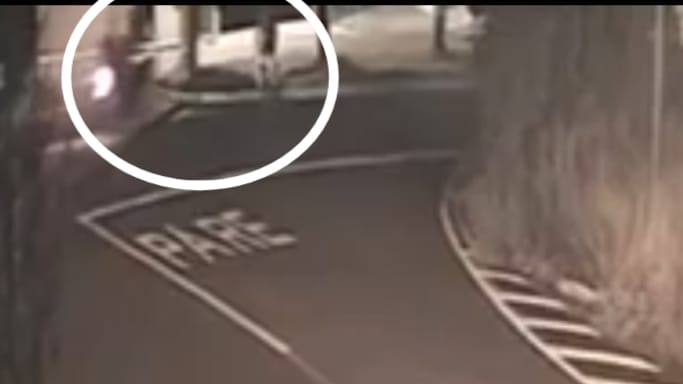 Câmera de segurança registra atropelamento em avenida de Franca