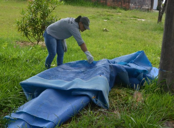Vila Tótoli e Jardim Planalto recebem a ‘Operação Contra a Dengue’
