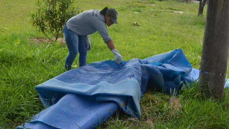 Vila Tótoli e Jardim Planalto recebem a ‘Operação Contra a Dengue’