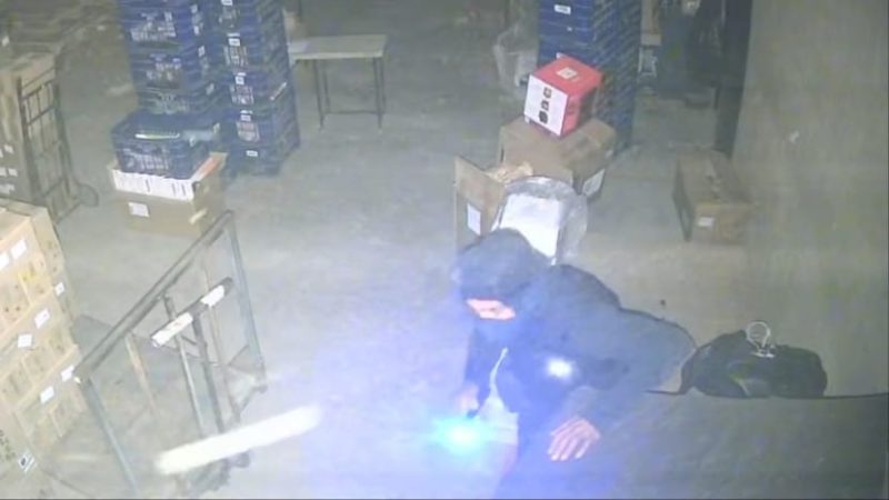 Quadrilha invade depósito veterinário e prejuízo ultrapassa R$ 1 milhão