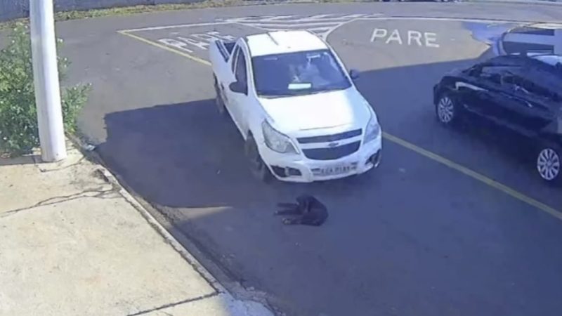 Cachorro morre após ser atropelado por motorista na zona sul de Franca
