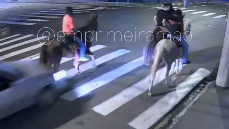 Câmera registra cavalo sendo atropelado por carro em Franca