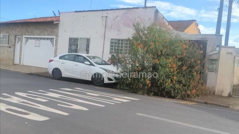 Motorista perde controle e bate carro contra árvore em Franca