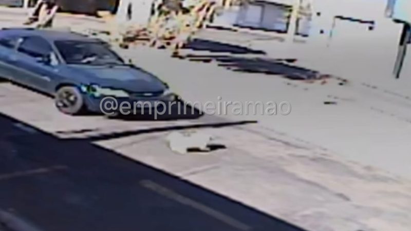 Motorista atropela cachorro e foge no bairro São Joaquim