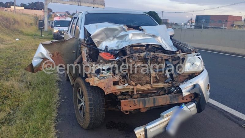 Caminhonete fica destruída após atropelar égua na Rodovia Ronan Rocha