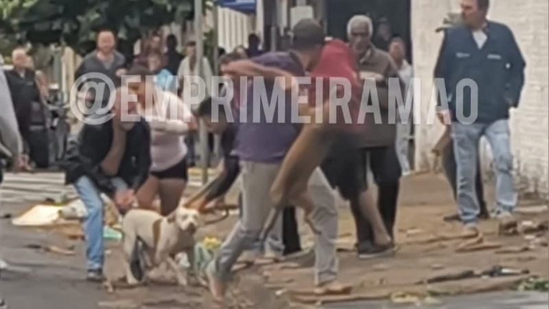 Pitbull escapa de residência e ataca cães na Vila Rezende, em Franca