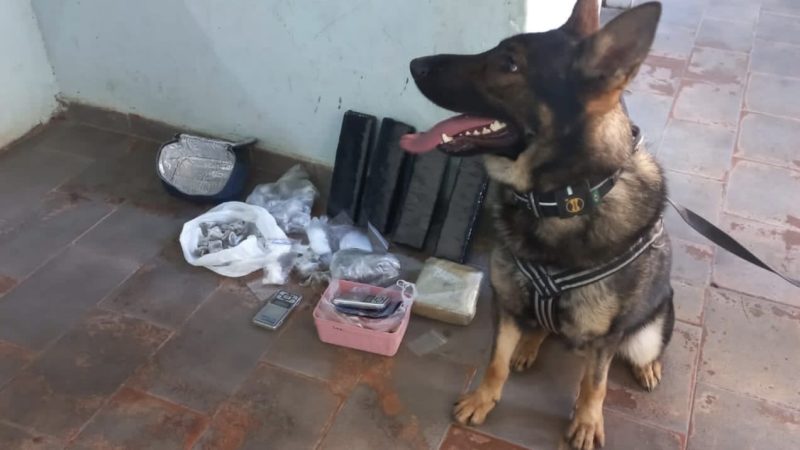 DISE apreende mais de 5 kg de maconha e prende traficante na Vila Rezende em Franca