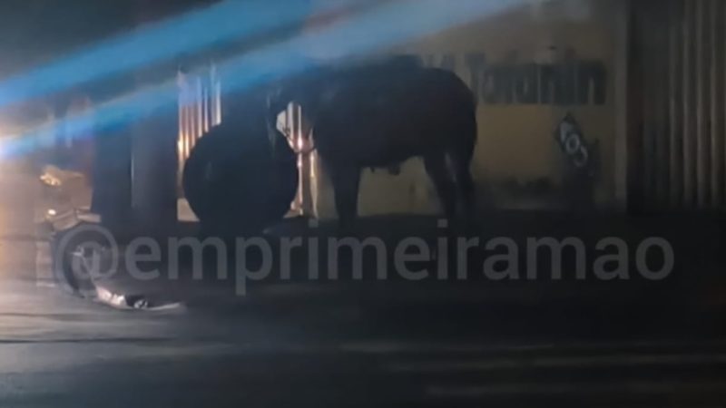 Motociclista fica ferido após colisão com mula em avenida de Franca