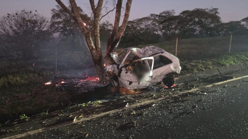 Motorista morre carbonizado após carro bater em árvore e pegar fogo na região