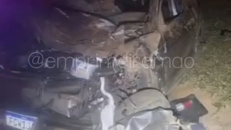 Animal na pista causa grave acidente na Rodovia Cândido Portinari, em Franca