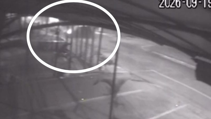 Câmera registra carro invadindo estabelecimento após colisão no Distrito Industrial em Franca