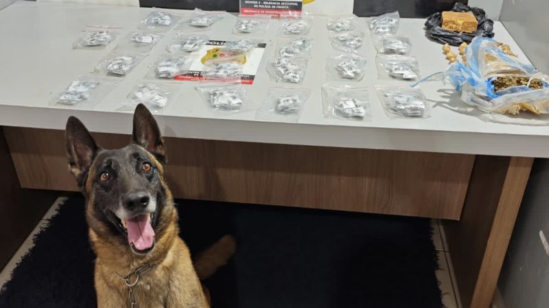 Cão farejador localiza crack, cocaína e maconha enterrados em terreno em Franca