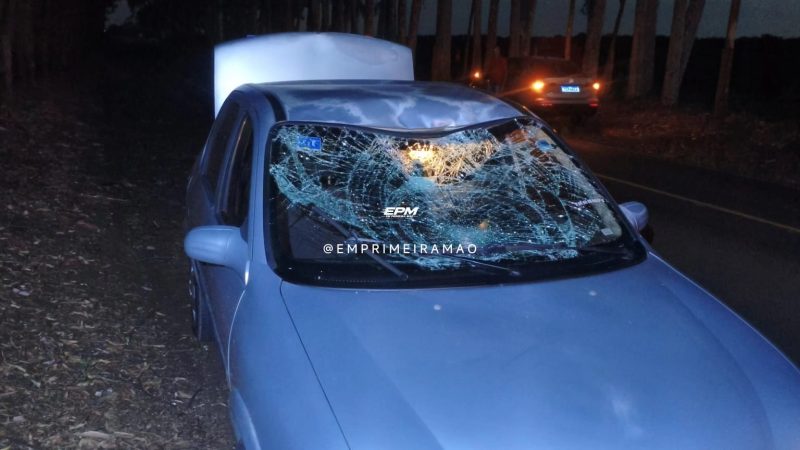 Homem sobrevive a grave acidente entre carro e bicicleta em rodovia da região