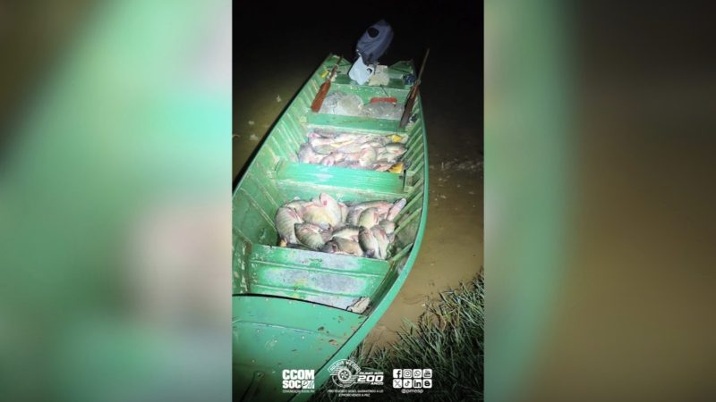 PM Ambiental apreende mais de 200 kg de pescado durante combate à pesca predatória em Rifaina